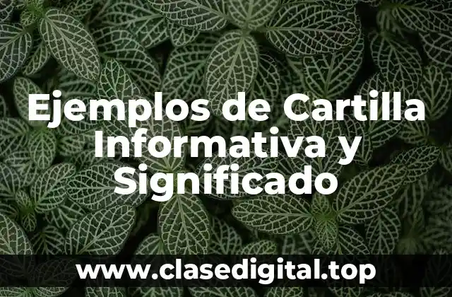 Ejemplos de Cartilla Informativa y Significado