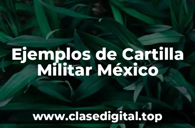 Ejemplos de Cartilla Militar México