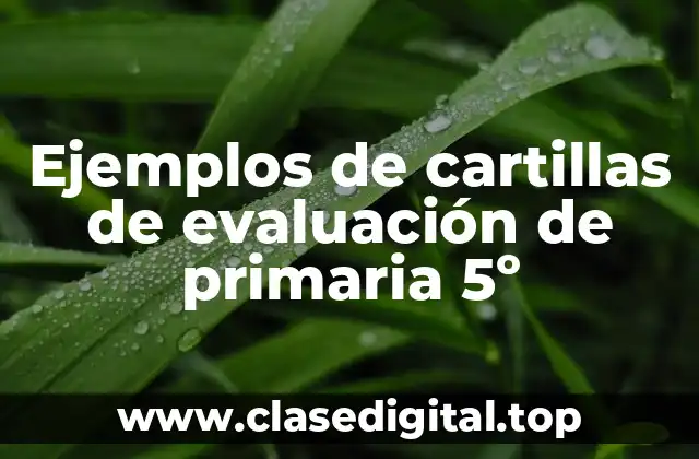 Ejemplos de cartillas de evaluación de primaria 5º