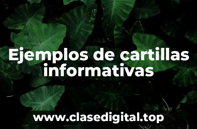 Ejemplos de cartillas informativas