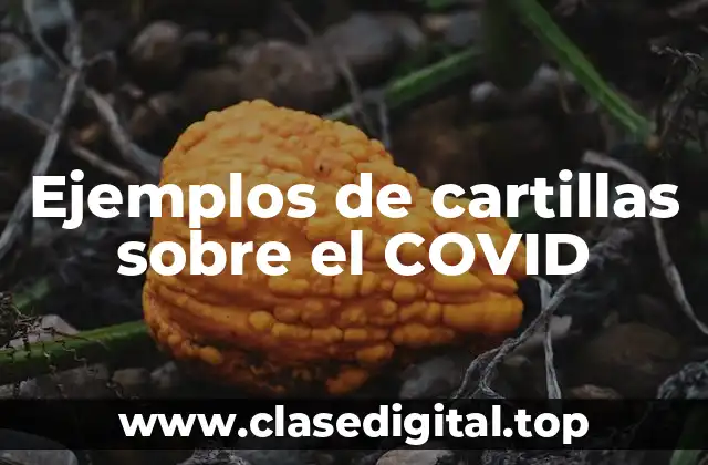 Ejemplos de cartillas sobre el COVID