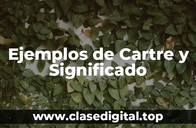Ejemplos de Cartre y Significado