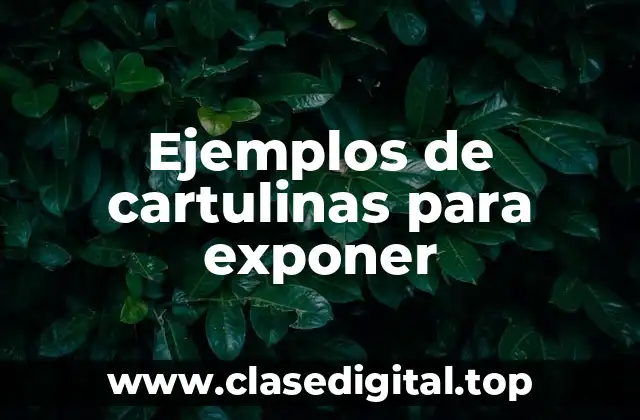 Ejemplos de cartulinas para exponer