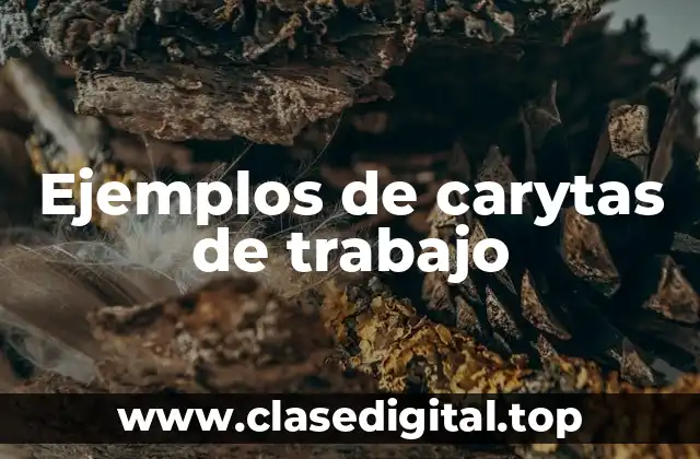 Ejemplos de carytas de trabajo