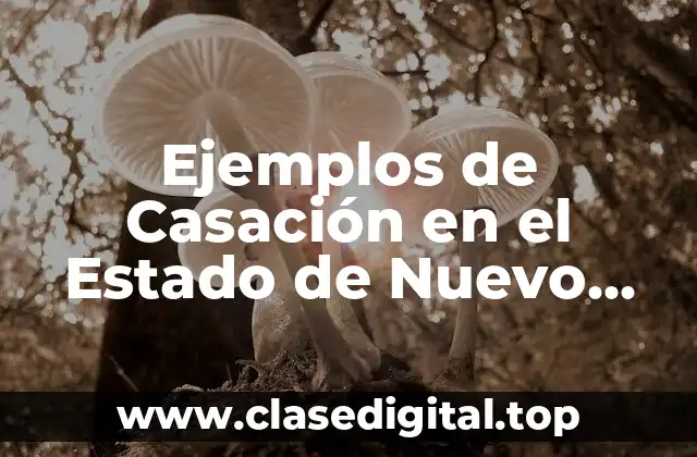 Ejemplos de Casación en el Estado de Nuevo León