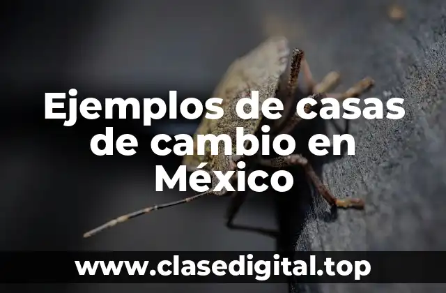 Ejemplos de casas de cambio en México