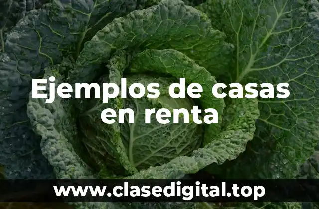 Ejemplos de casas en renta