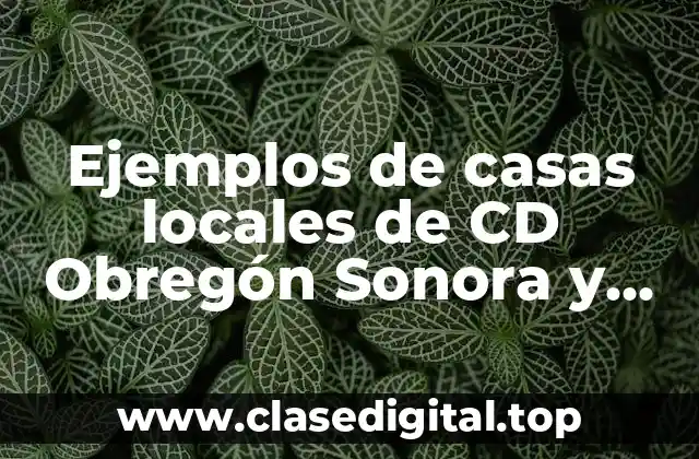 Ejemplos de casas locales de CD Obregón Sonora y Significado