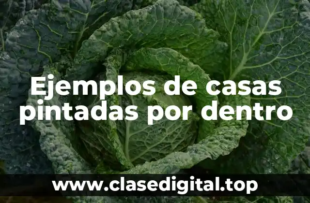 Ejemplos de casas pintadas por dentro