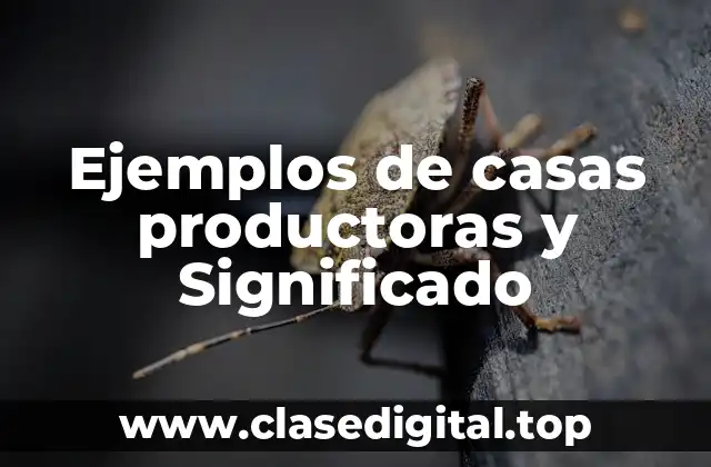 Ejemplos de casas productoras