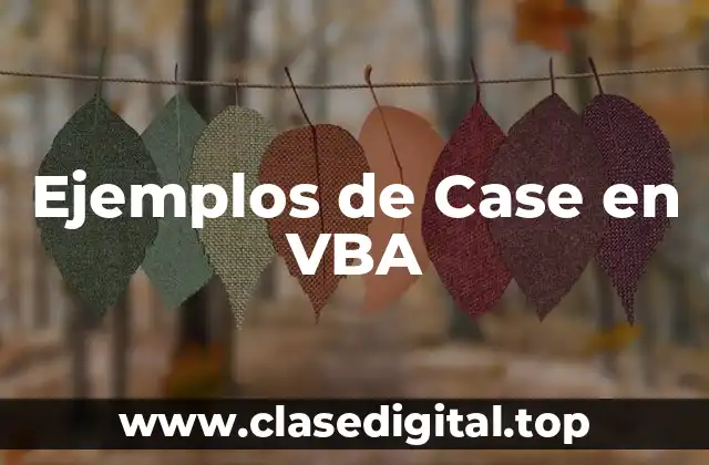 Ejemplos de Case en VBA