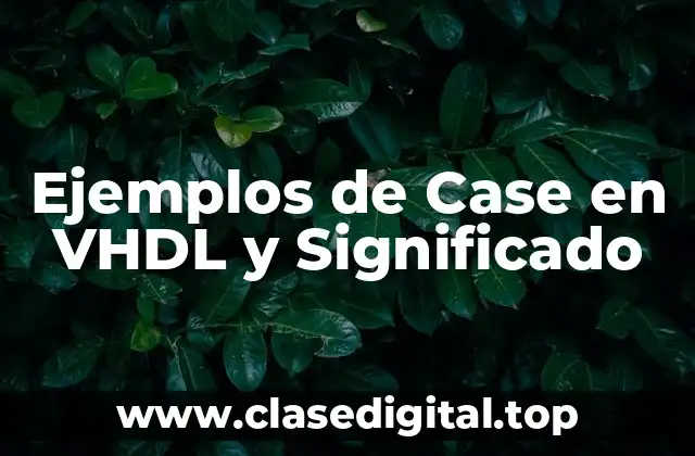 Ejemplos de Case en VHDL y Significado