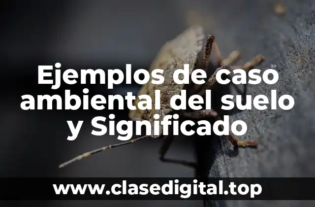 Ejemplos de caso ambiental del suelo