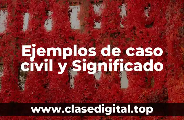 Ejemplos de caso civil y Significado