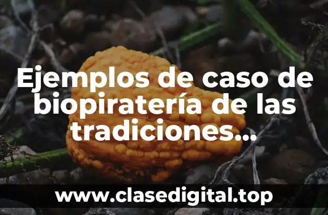 Ejemplos de caso de biopiratería de las tradiciones indígenas mexicanas