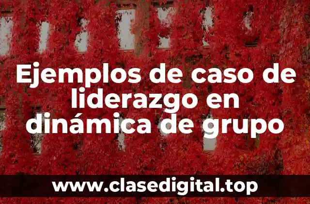 Ejemplos de caso de liderazgo en dinámica de grupo