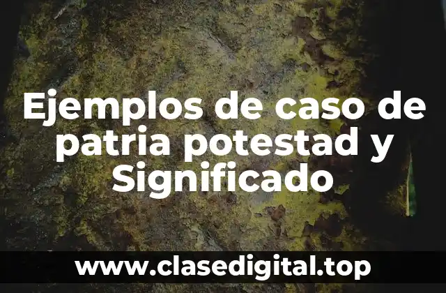 Ejemplos de caso de patria potestad y Significado
