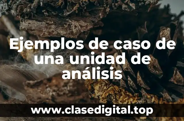 Ejemplos de caso y unidad de análisis