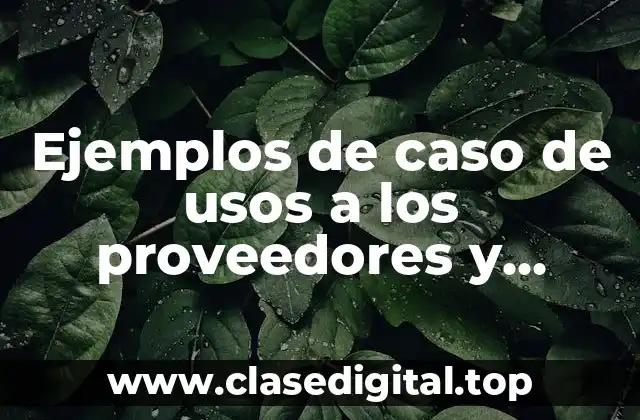 Ejemplos de caso de usos a los proveedores