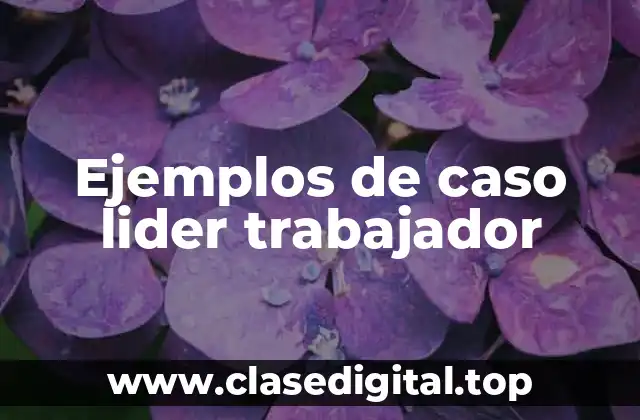 Ejemplos de caso lider trabajador