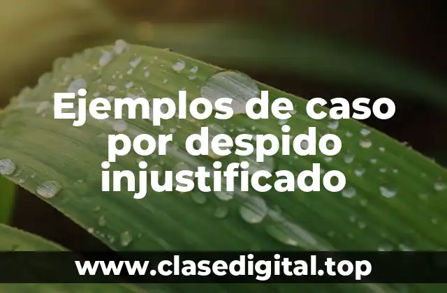 Ejemplos de caso por despido injustificado
