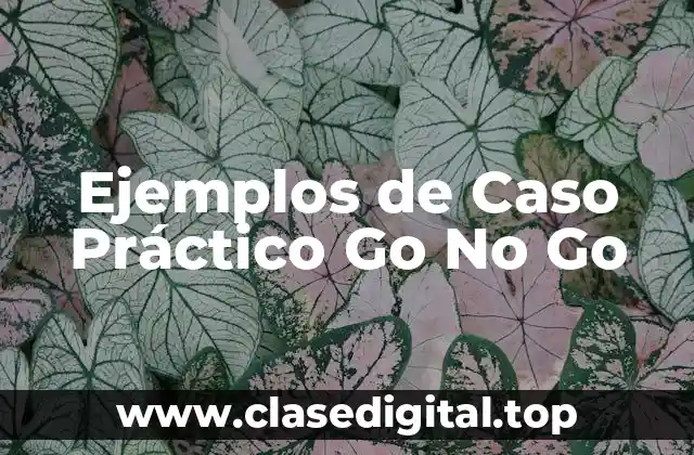 Ejemplos de Caso Práctico Go No Go