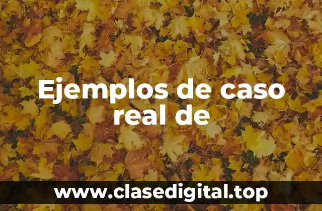 Ejemplos de caso real de