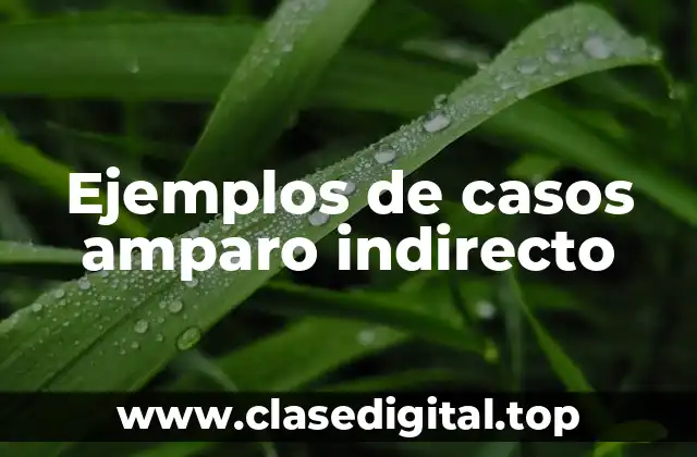 Ejemplos de casos amparo indirecto