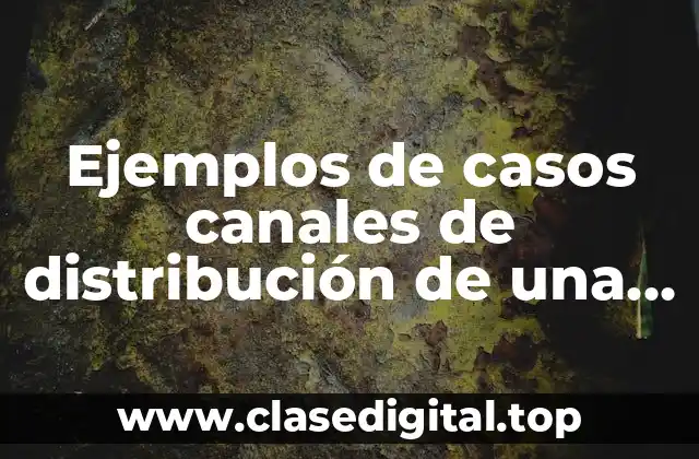 Ejemplos de casos canales de distribución de una empresa