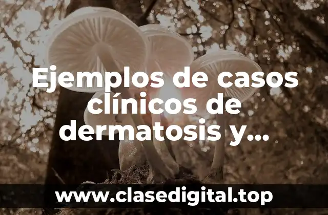 Ejemplos de casos clínicos de dermatosis y Significado