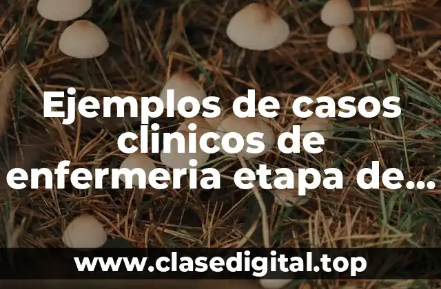 Ejemplos de casos clinicos de enfermeria etapa de diagnostico y Significado