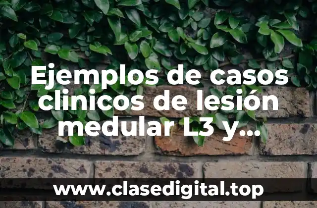 Ejemplos de casos clinicos de lesión medular L3 y Significado