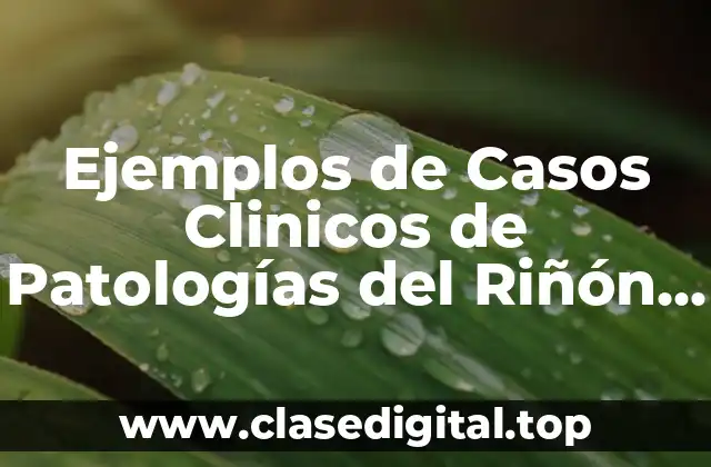 Ejemplos de Casos Clinicos de Patologías del Riñón para Resolver