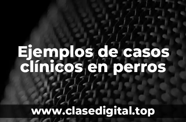 Ejemplos de casos clínicos en perros