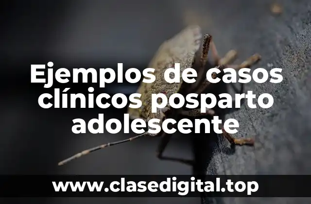 Ejemplos de casos clínicos posparto adolescente