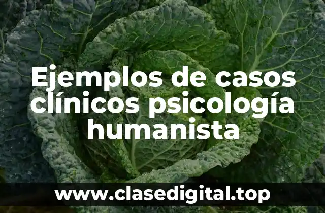 Ejemplos de casos clínicos psicología humanista