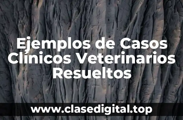 Ejemplos de Casos Clínicos Veterinarios Resueltos