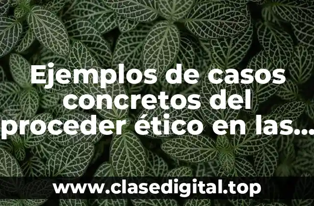 Ejemplos de casos concretos del proceder ético en las organizaciones y Significado