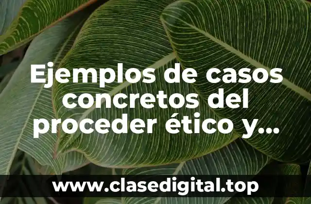 Ejemplos de casos concretos del proceder ético y Significado