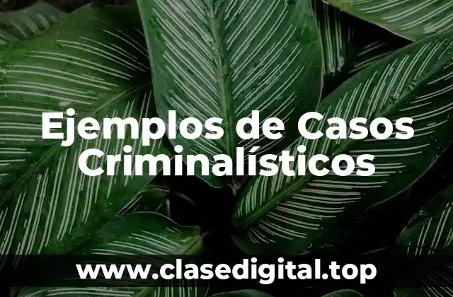 Ejemplos de Casos Criminalísticos