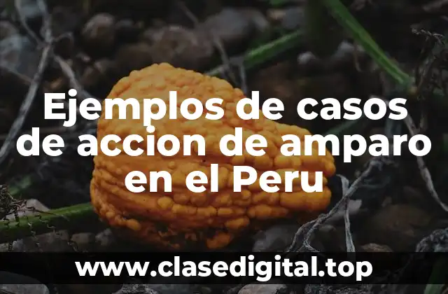 Ejemplos de casos de accion de amparo en el Peru