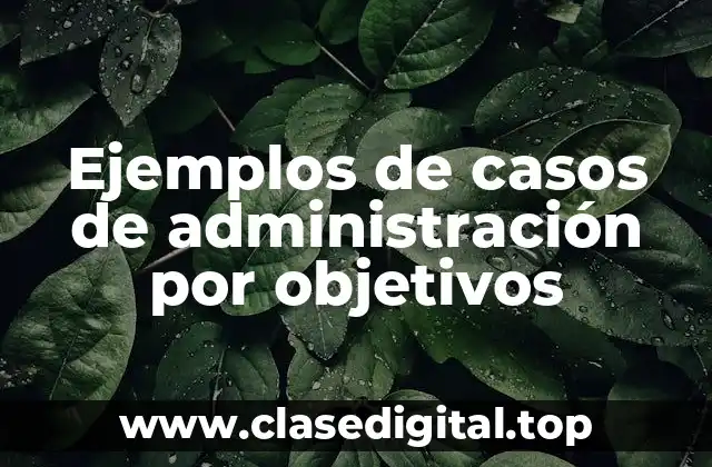 Ejemplos de casos de administración por objetivos
