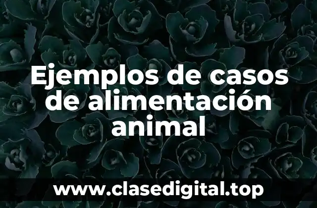 Ejemplos de casos de alimentación animal