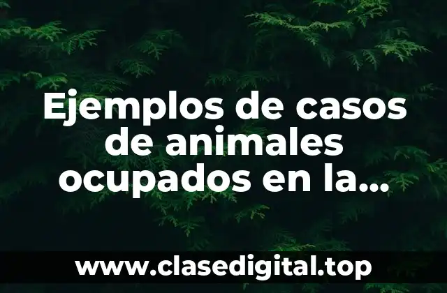 Ejemplos de casos de animales ocupados en la experimentación