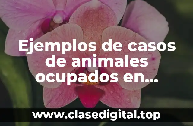 Ejemplos de casos de animales ocupados en procesos de experimentación