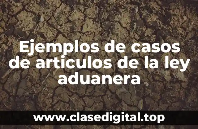 Ejemplos de casos de articulos de la ley aduanera