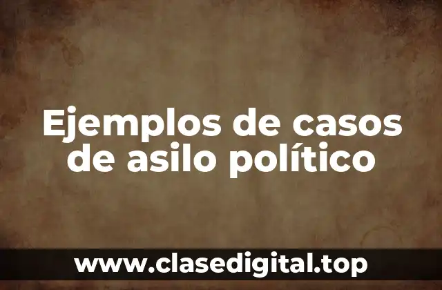 Ejemplos de casos de asilo político