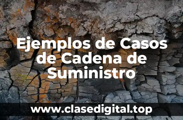 Ejemplos de Casos de Cadena de Suministro