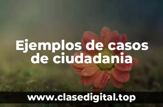 Ejemplos de casos de ciudadania