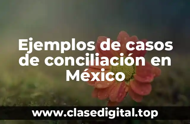 Ejemplos de casos de conciliación en México